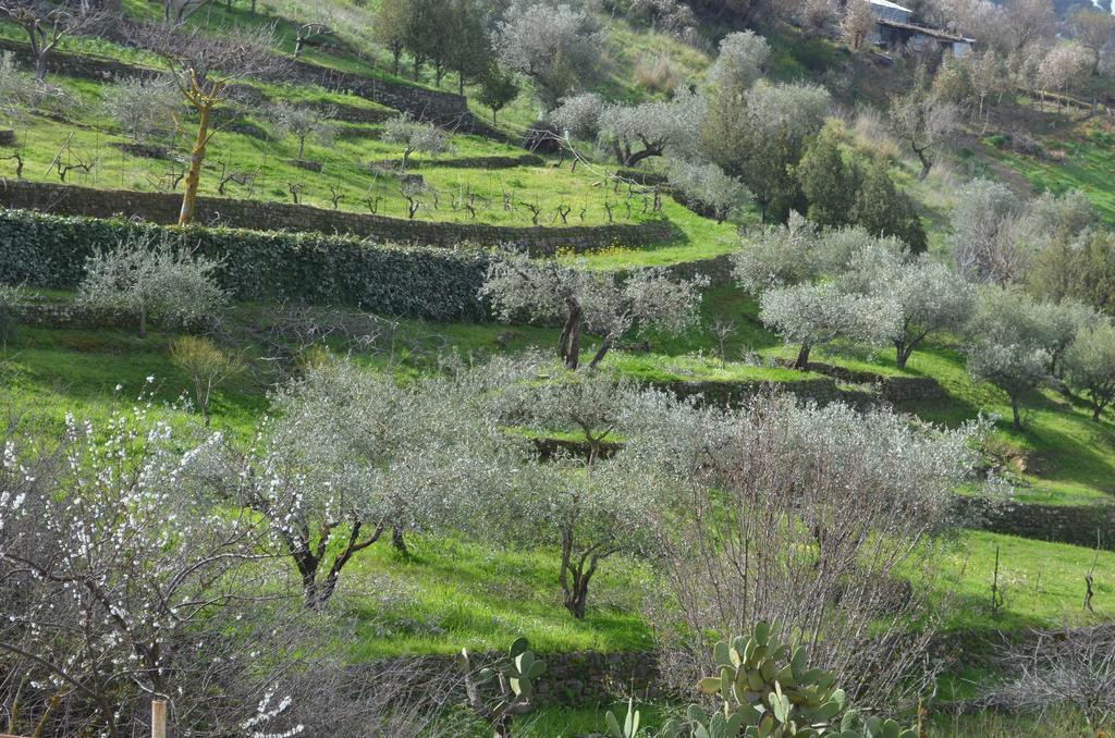 Villa Della Mimosa Alia エクステリア 写真