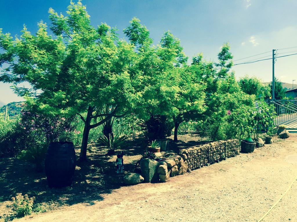 Villa Della Mimosa Alia エクステリア 写真